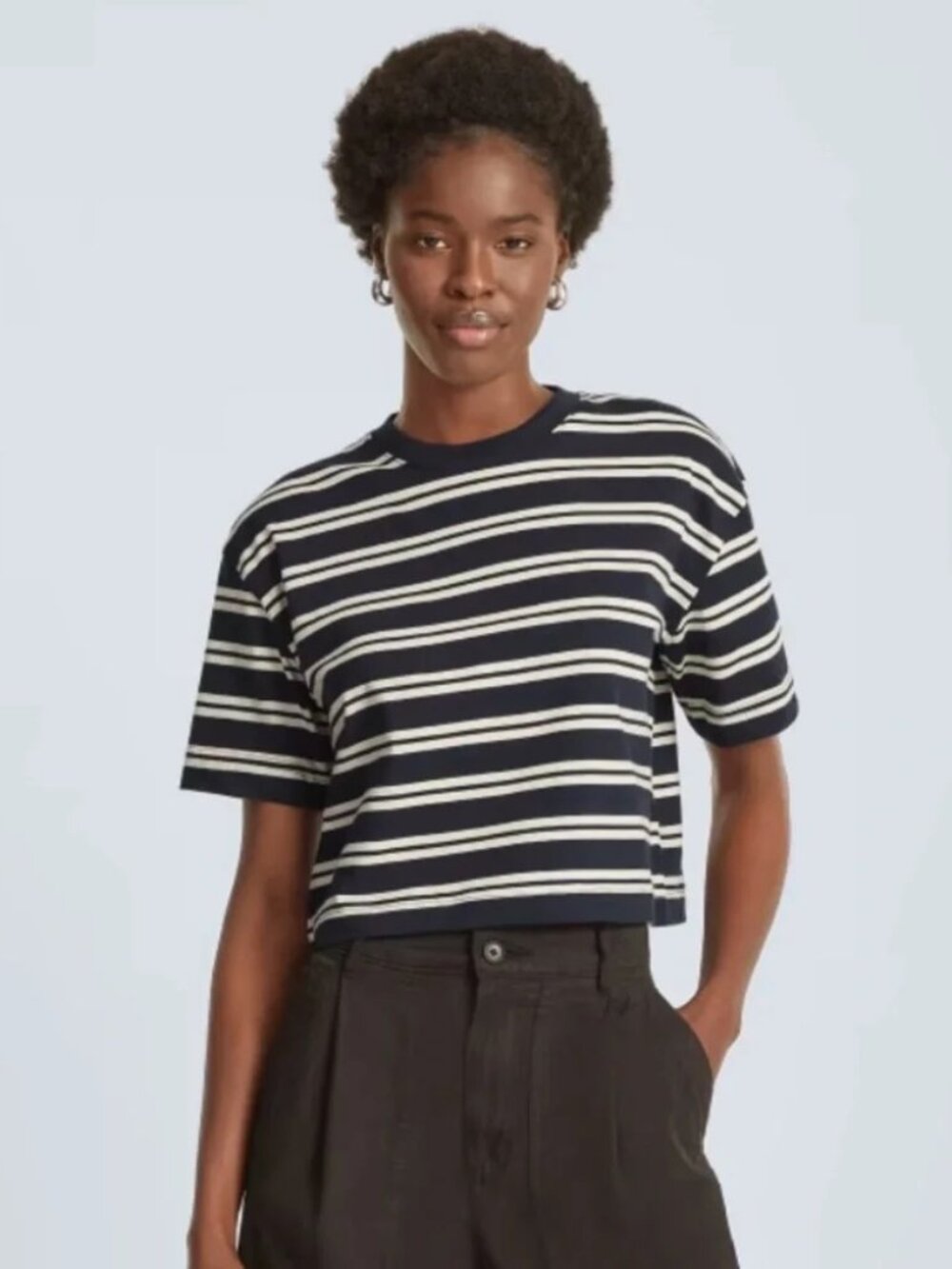 Everlane Navy and White Striped Short Sleeve Tee